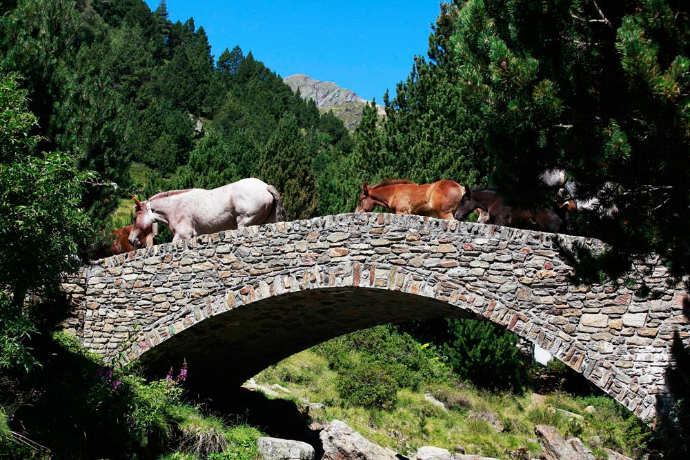 Andorra Walking Festival Sorteny Valley