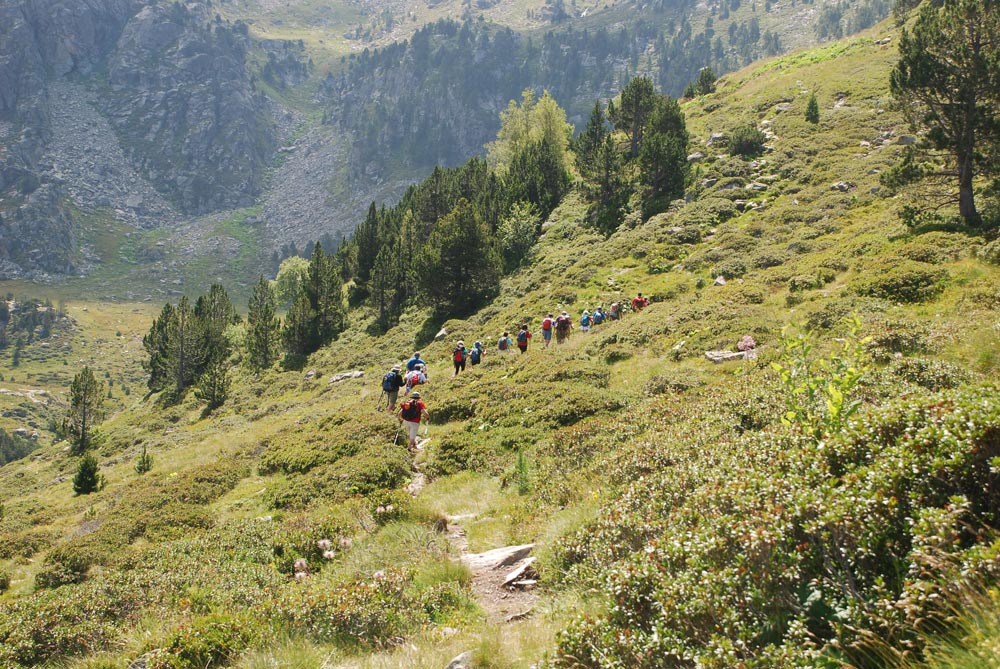 Incles Valley Walking Festival